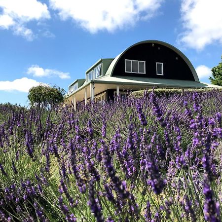 Lavender Hill Bed & Breakfast Riverhead Eksteriør bilde