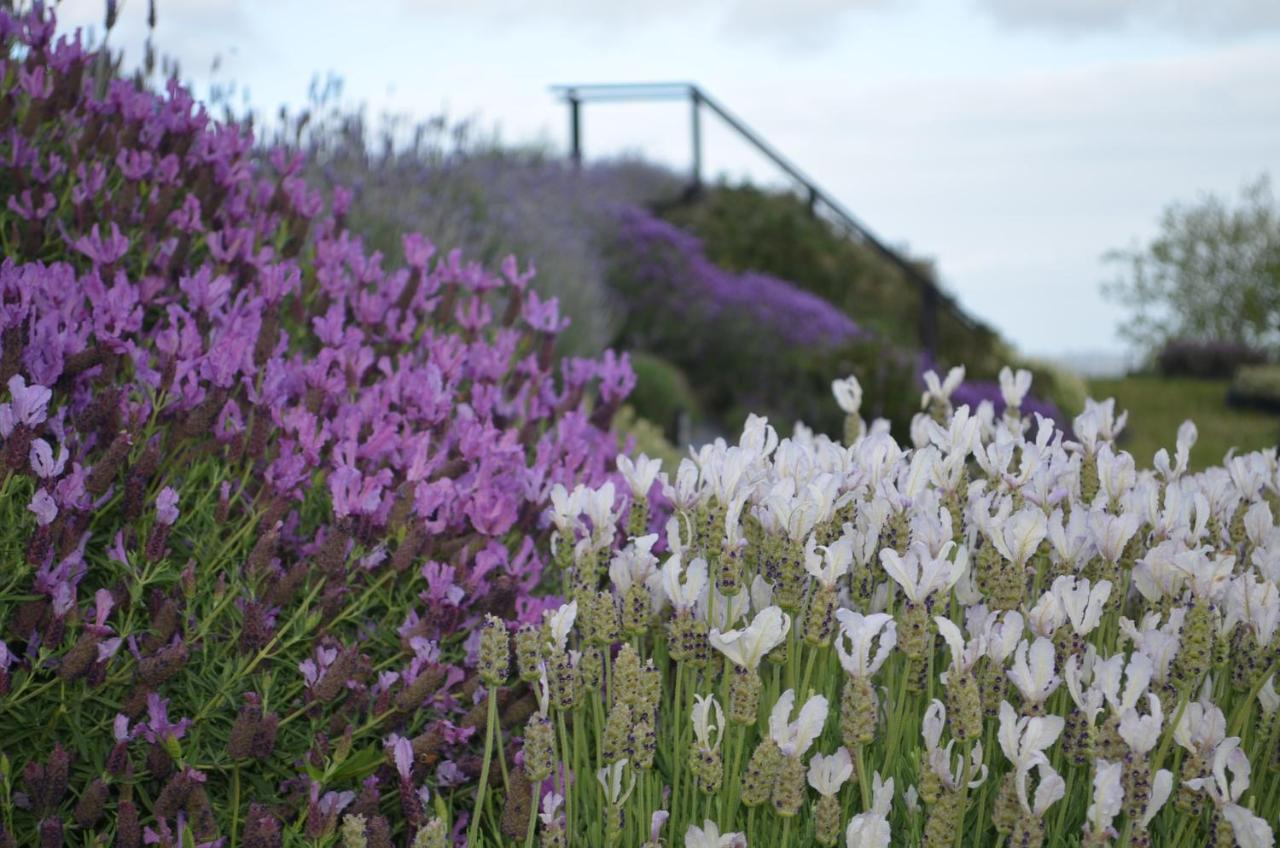 Lavender Hill Bed & Breakfast Riverhead Eksteriør bilde