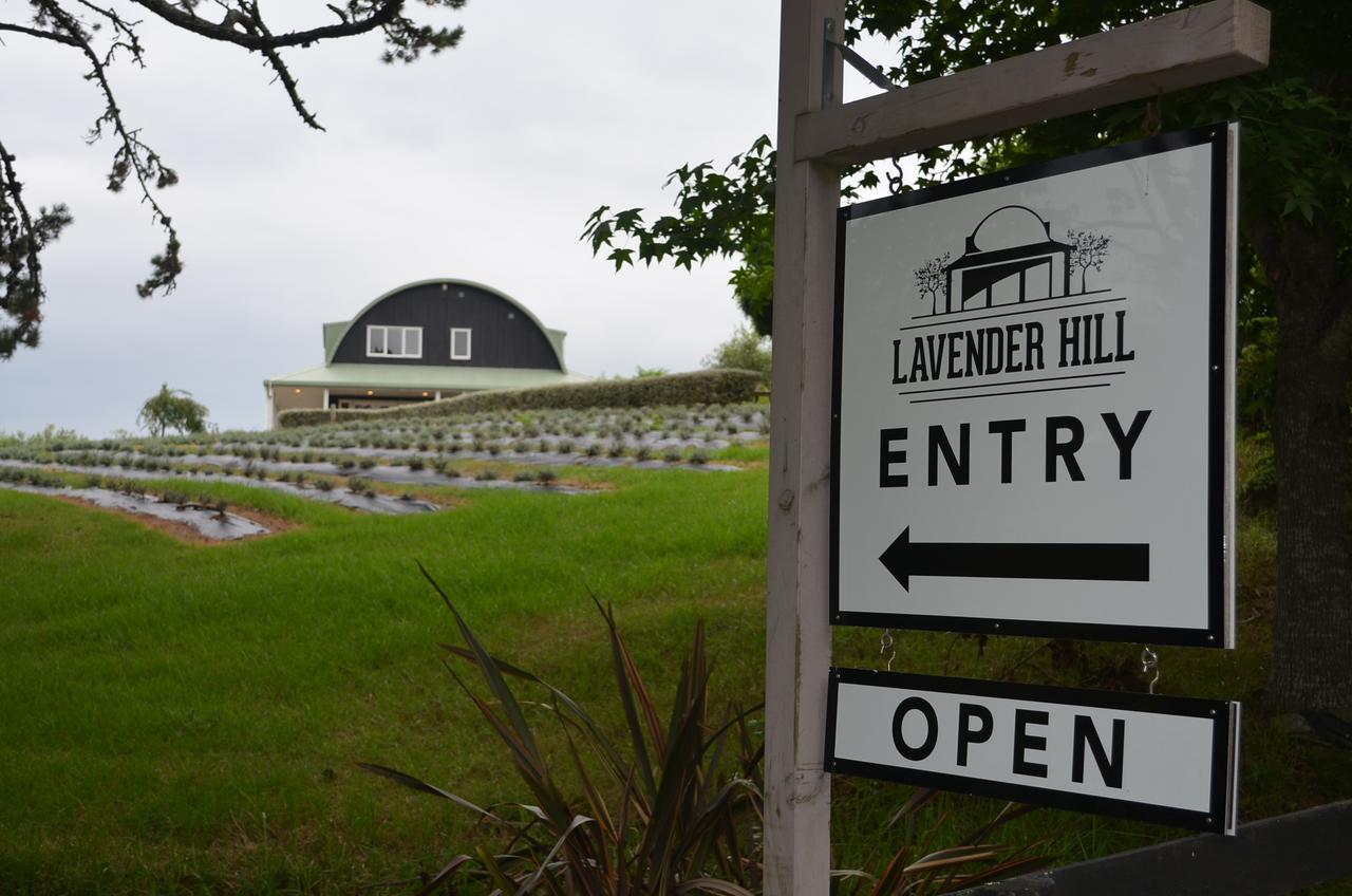 Lavender Hill Bed & Breakfast Riverhead Eksteriør bilde