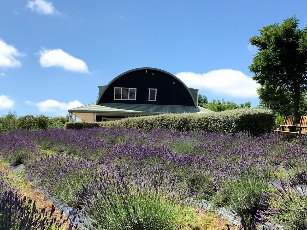 Lavender Hill Bed & Breakfast Riverhead Eksteriør bilde